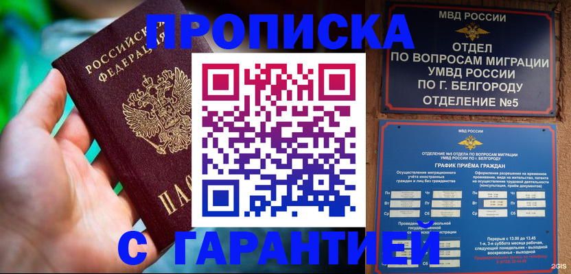 прописка для работы в Михайлове